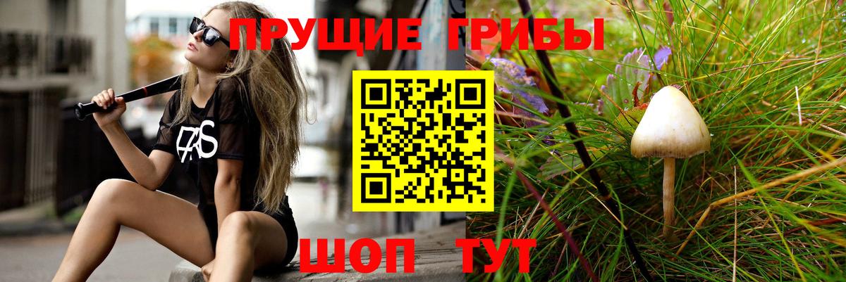 Псилоцибиновые грибы прущие грибы Великий Устюг