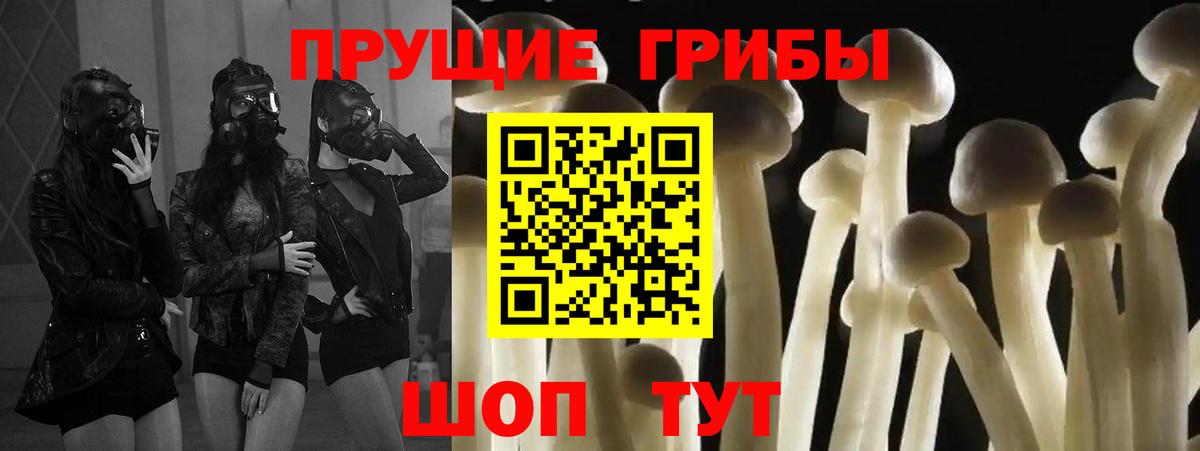 Великий Устюг  Псилоцибиновые грибы ЛСД  Вход с VPN 